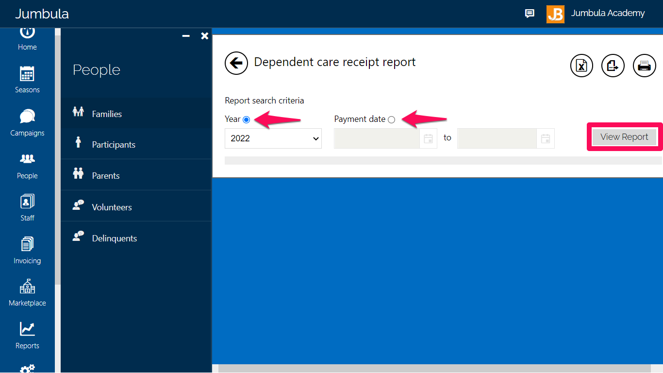 Dependent care report view